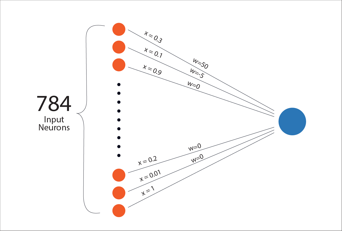 A neuron with inputs and weights