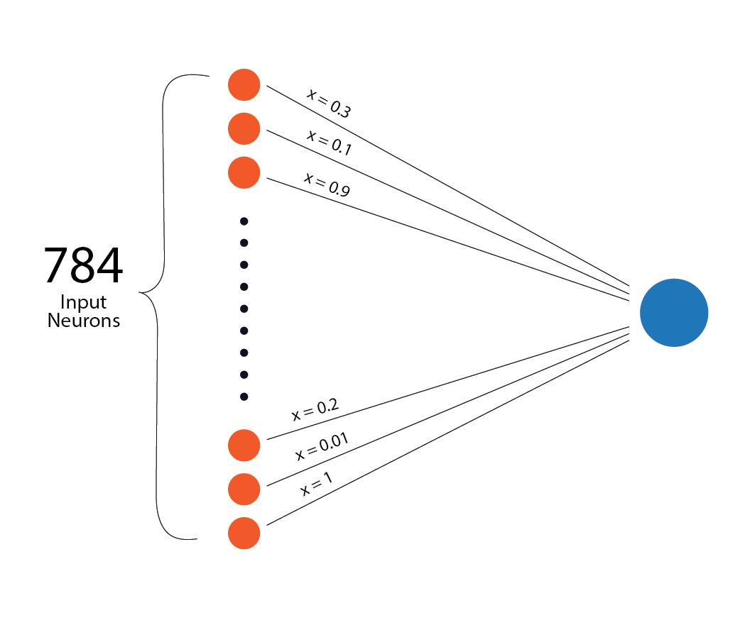 A neuron with inputs