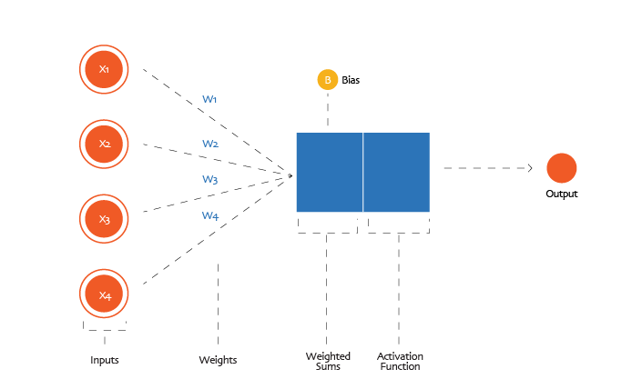 A neural net neuron with weights and biases
